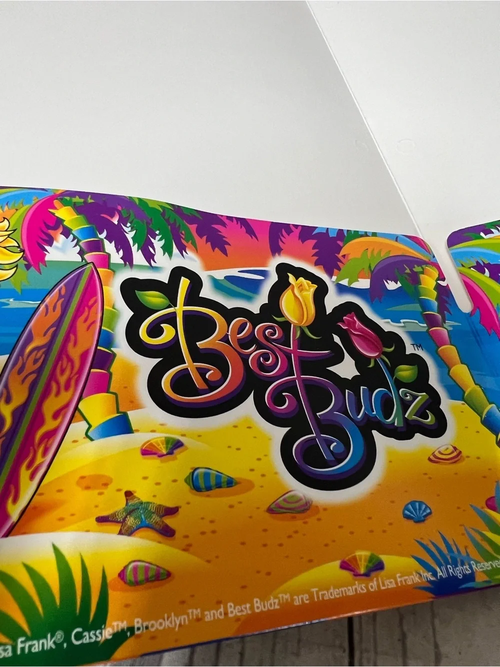 Vintage Lisa Frank Best Budz Brooklyn Cassie Board Bike Pocket Folder 05-06 Y2K